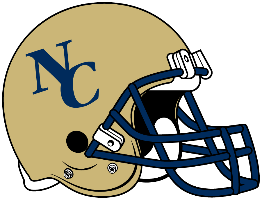 Northern Colorado Bears 2010-2013 Helmet Logo v2 diy iron on heat transfer